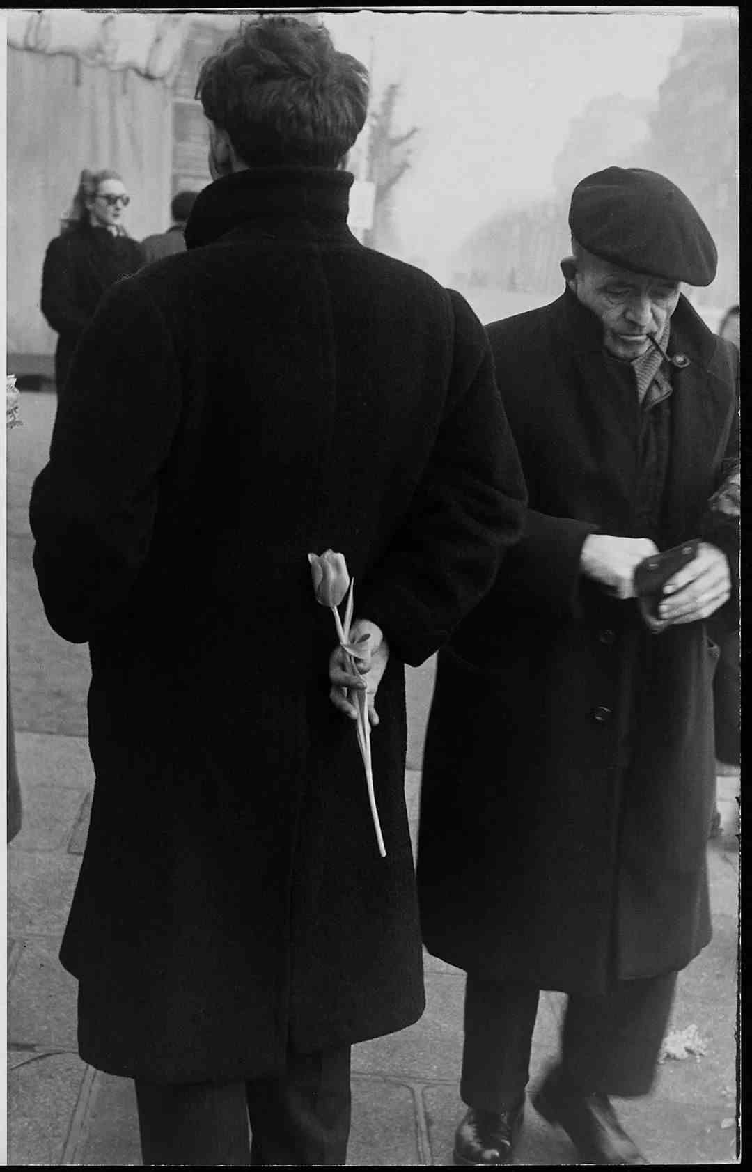 《郁金香》（1950年拍摄于巴黎）